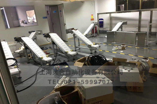 皮帶輸送機成品包裝出貨