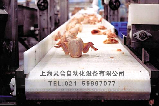 清洗不銹鋼板鏈輸送機(jī)