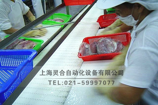 食品級(jí)板鏈輸送機(jī)