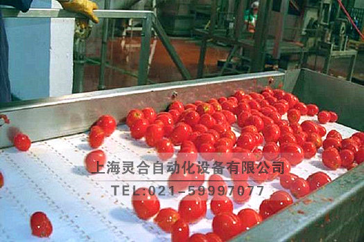 爬坡板鏈輸送設(shè)備